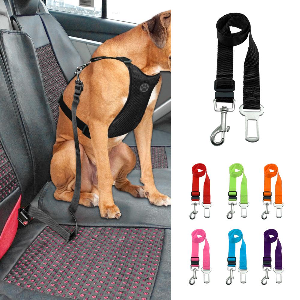 Hunde-Auto-Sicherheitsgurt